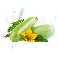 کدو هیبرید رقم الا (YZ 2402)